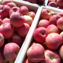 Red Star Apple, dulce y crujiente